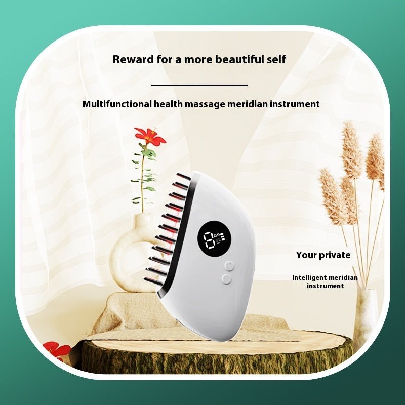 Head Meridian Massage Comb Household Portable Electric Gua Sha Scraping Massager - LADIESBELLA